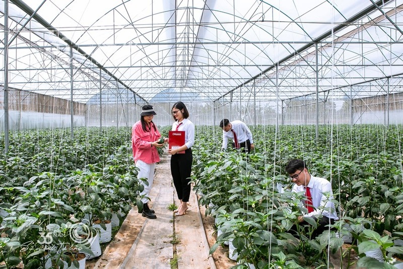 Agribank đầu tư phát triển nông nghiệp sạch, nông nghiệp công nghệ cao. Ảnh: Thanh Bình