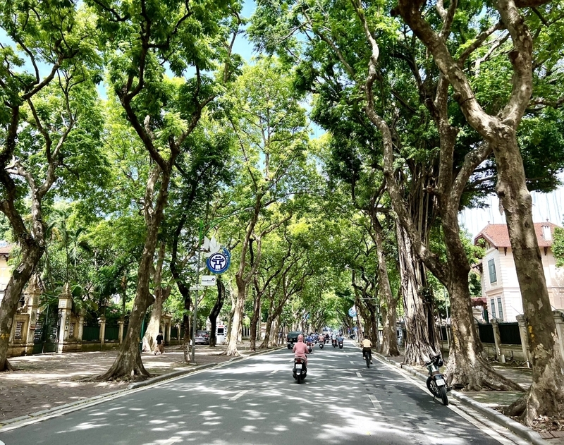 Hà Nội ngày nắng nóng, đêm có mưa rào và dông. Ảnh minh hoạ
