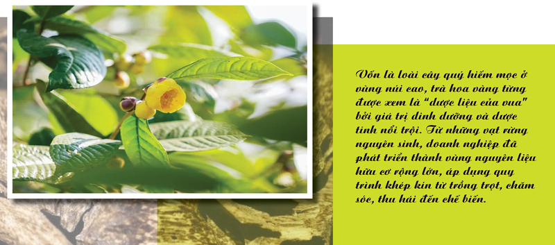 Longform | Tinh hoa núi rừng vươn ra thế giới - 5