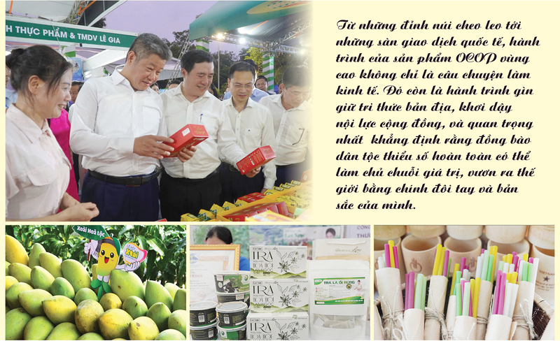 Longform | Tinh hoa núi rừng vươn ra thế giới - 8