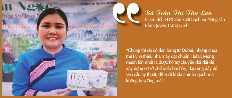 Longform | Tinh hoa núi rừng vươn ra thế giới - 6