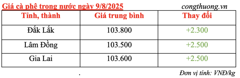 Giá cà phê trong nước đồng loạt tăng mạnh vào chiều ngày 9/8/2025