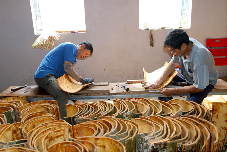 Quế mang lại thu nhập cao cho bà con dân tộc thiểu số trên địa bàn tỉnh Thái Nguyên. Ảnh minh hoạ: Tuấn Phong