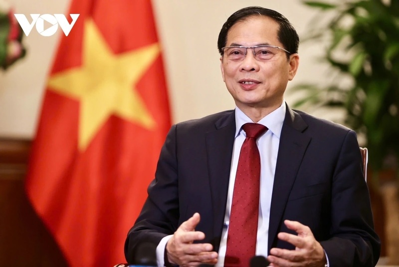 Phó Thủ tướng, Bộ trưởng Ngoại giao Bùi Thanh Sơn