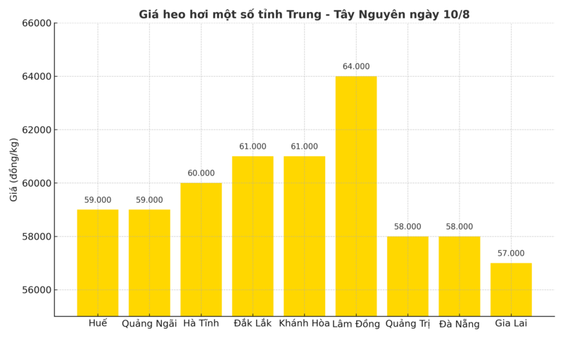 Biểu đồ giá heo hơi một số tỉnh miền Trung - Tây Nguyên ngày 10/8.