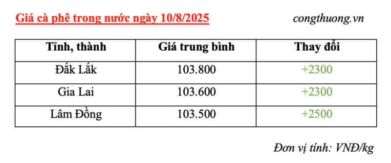 Bảng giá cà phê trong nước sáng ngày 10/8/2025
