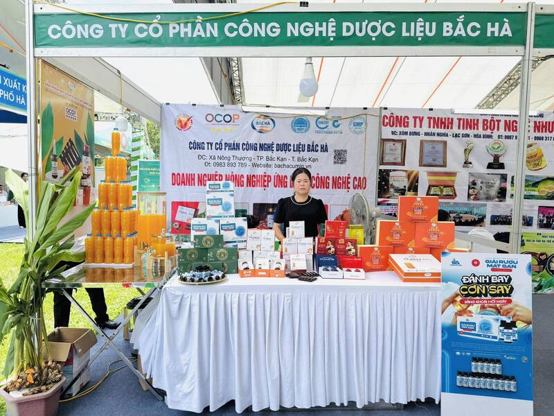 Dược liệu Bắc Hà tham gia nhiều sự kiện xúc tiến thương mại