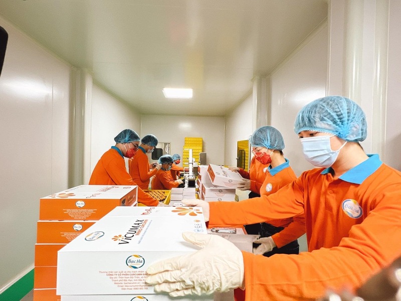 Cây nghệ có thể sản xuất thành nhiều sản phẩm tốt cho sức khoẻ (Ảnh: Công ty CP Công nghệ Dược liệu Bắc Hà)