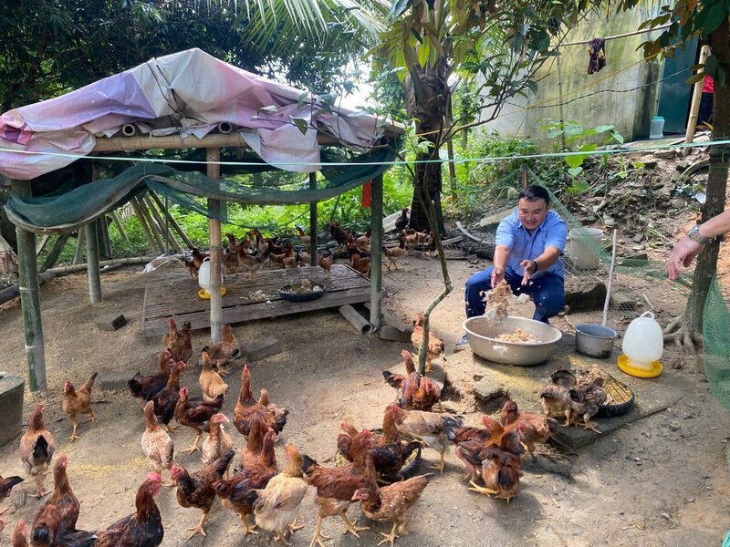 Từ năm 2021 đến 2024 đã có 606 mô hình và dự án phát triển sinh kế đã được phát triển trên địa bàn tỉnh Thanh Hóa. Ảnh minh hoa