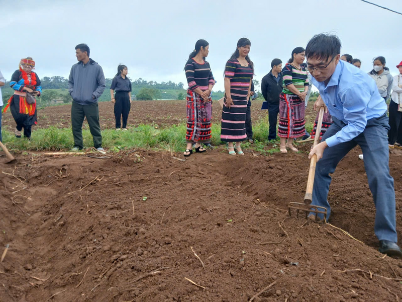 Lãnh đạo xã Quảng Sơn hướng dẫn người dân trồng dược liệu tại bon Phi Glê. Ảnh minh họa
