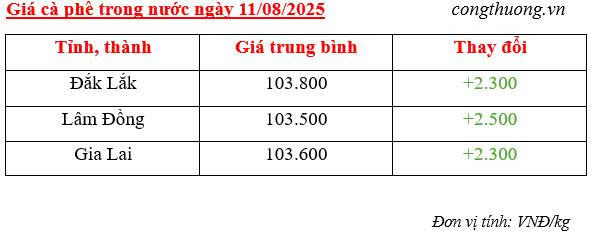 Bảng giá cà phê trong nước cập nhật chiều ngày 11/8/2025