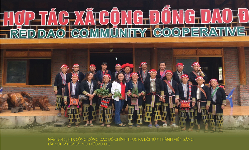 Longform | Tinh túy từ núi rừng và bài thuốc tạo sinh kế vùng cao - 2