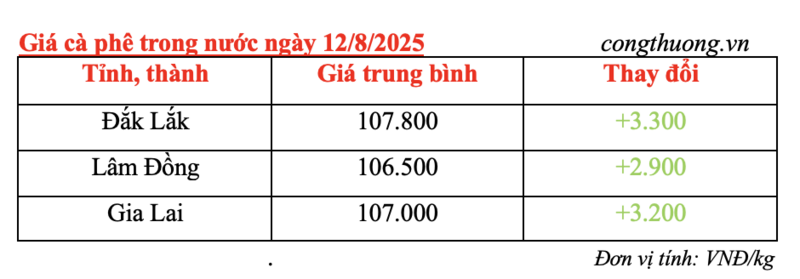 Giá cà phê trong nước được cập nhật chiều ngày 12/8/2025