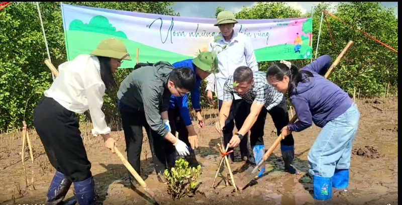 Lễ trồng 300 cây Bần chua góp phần bảo tồn hệ sinh thái ứng phó với biến đổi khí hậu. Ảnh: Thu Tuyết