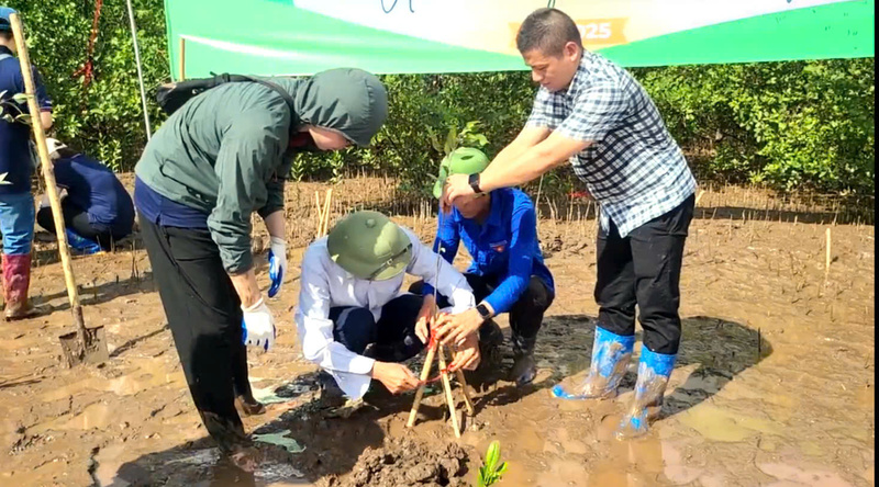 Đây là hoạt động nhằm ứng phó với biến đổi khí hậu, bảo vệ hệ sinh thái ven biển. Ảnh: Thu Tuyết