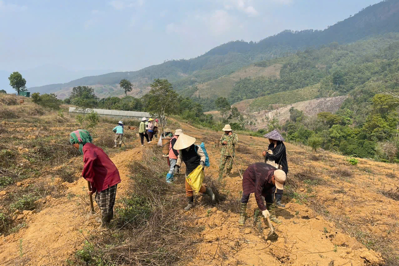 Đồng bào dân tộc thiểu số ở Quảng Ngãi được hướng dẫn, hỗ trợ để cải tạo vườn tạp. Ảnh: Quảng Phú