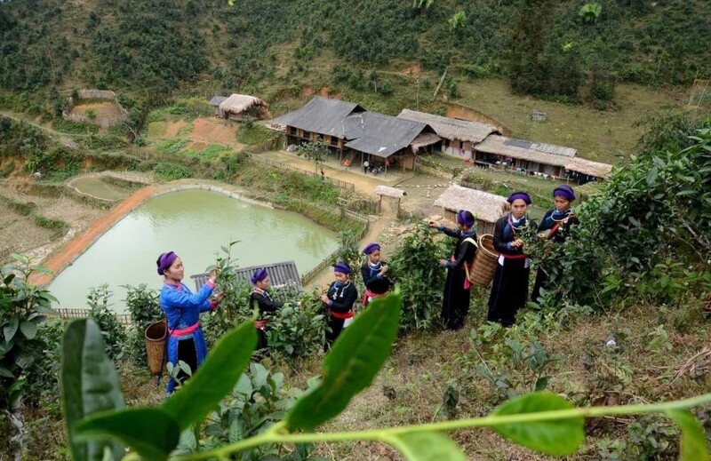 Liên kết nông nghiệp hữu cơ với du lịch bền vững đang được xem là hướng đi tất yếu để nâng giá trị nông sản. Ảnh: Hào Hương