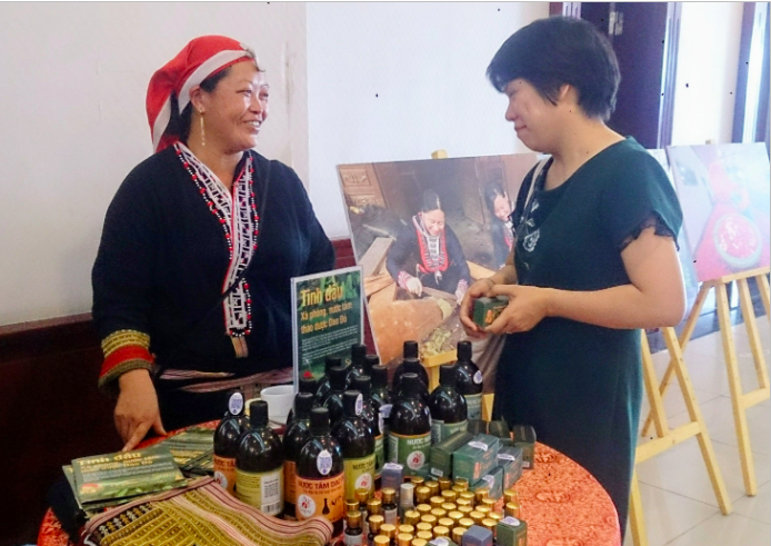 Phát triển cây dược liệu gắn với du lịch đang được Lào Cai định hướng mở rộng. Ảnh: Thanh Huyền