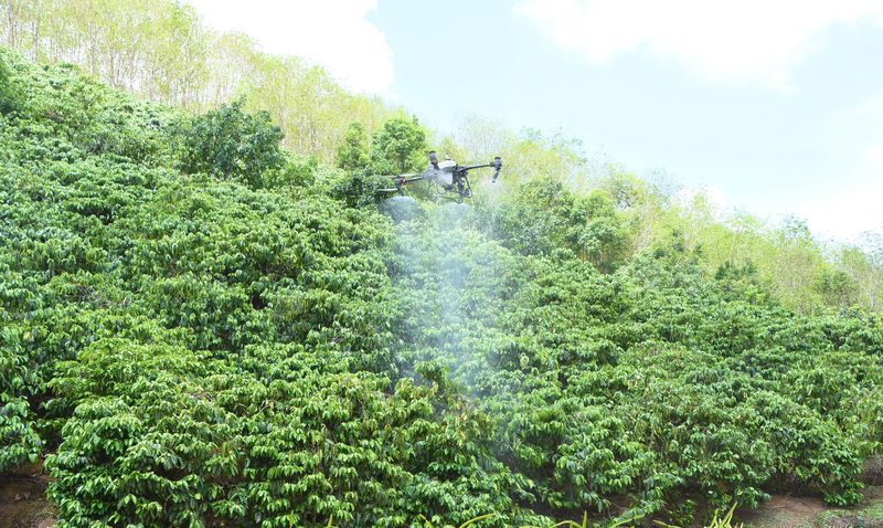 Tỉnh Quảng Ngãi tập trung phát triển nông nghiệp sinh thái, hiện đại, hiệu quả và bền vững. Ảnh: Quảng Phú