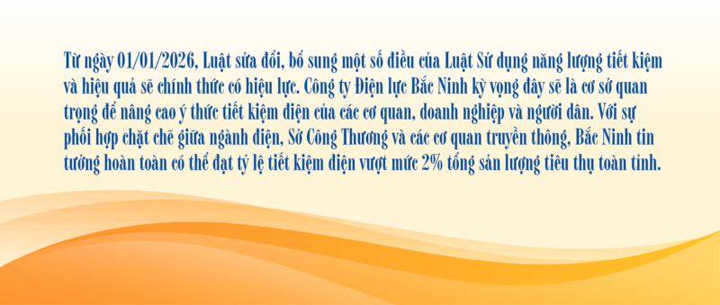 Lan tỏa mô hình tiết kiệm điện tại doanh nghiệp công nghiệp ở Bắc Ninh - 17