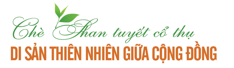 Longform | Sơn La: Những ‘mạch nguồn xanh’ nơi triền núi - 1