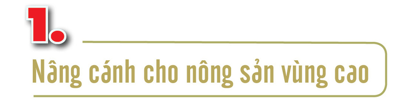 Longform | Tinh hoa núi rừng đến với người tiêu dùng bằng xúc tiến thương mại - 1
