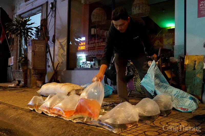Ông Bình tranh thủ bày từng bịch cá ra vỉa hè để khách chọn