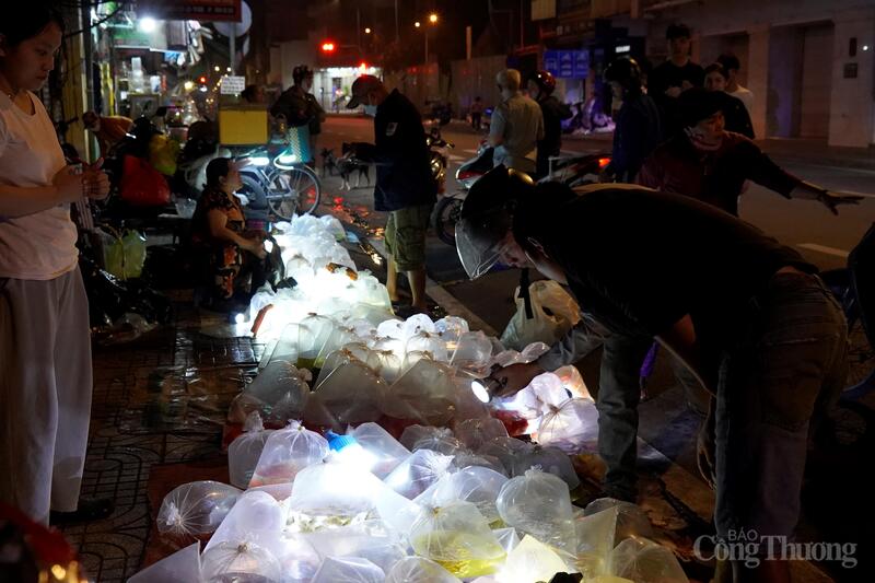 Chợ cá cảnh họp từ 3-6h sáng hằng ngày.