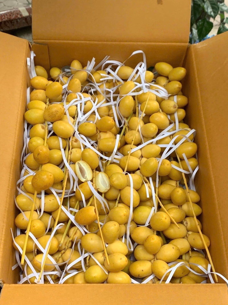 Chà là tươi được tách cành rời đóng hộp từ 0,5-1kg để người tiêu dùng dễ dàng mua trải nghiệm. Ảnh: Nguyễn Vy