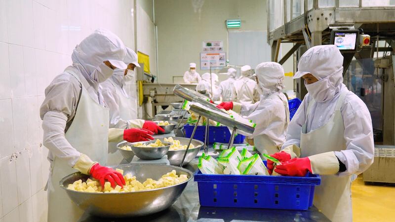 Doveco đã đầu tư hiệu quả vào chế biến sâu nông sản Sơn La