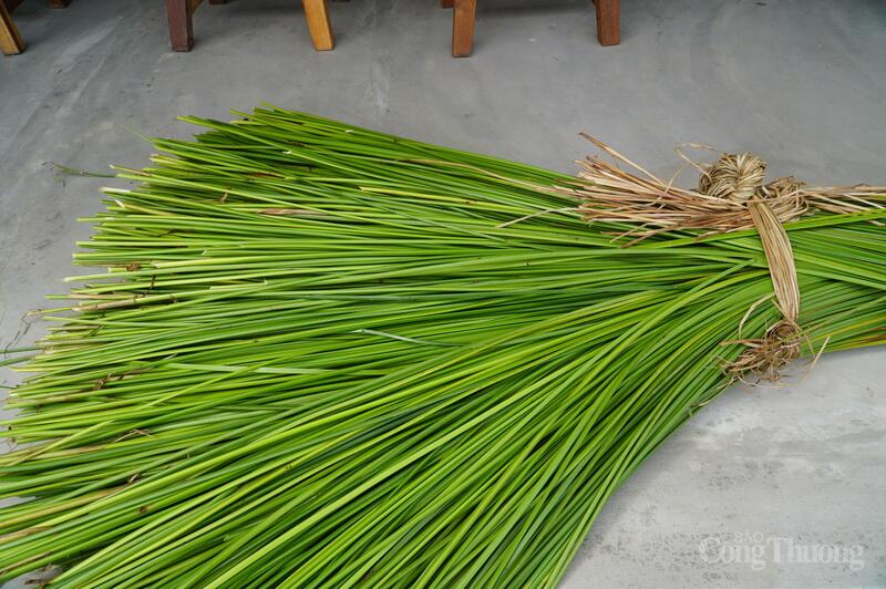 Đầu tiên, nguyên liệu đầu vào sẽ là cói lác, loại cói đặc trưng để dệt chiếu Kim Bồng