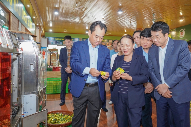 Bí thư Tỉnh ủy Thái Nguyên Trịnh Việt Hùng tham quan Hợp tác xã Chè Hảo Đạt - Ảnh: Mạnh Thắng