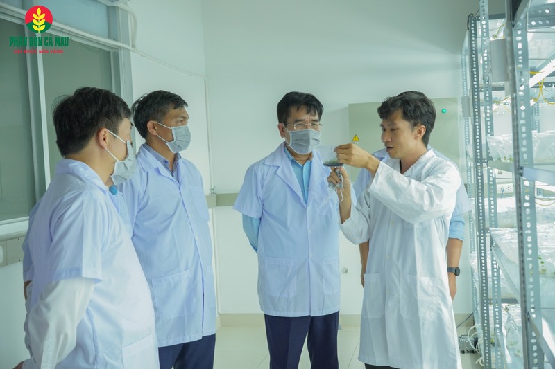 Lĩnh vực (R&D) là một trong những mảng chiến lược được PVCFC ưu tiên đầu tư mạnh mẽ (Ảnh PVCFC)