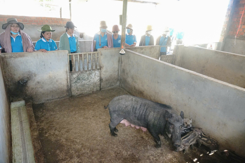 Theo kế hoạch, đến cuối năm 2025, công tác giảm nghèo trên địa bàn tỉnh Quảng Ngãi giảm từ 4,27% xuống còn 1,86%. Ảnh: Quảng Phú