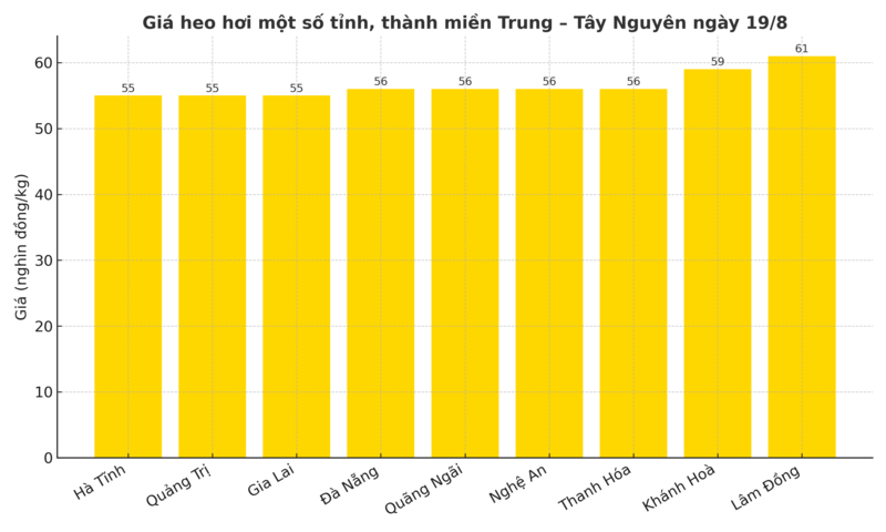 Biểu đồ giá heo hơi một số tỉnh, thành miền Trung – Tây Nguyên ngày 19/8