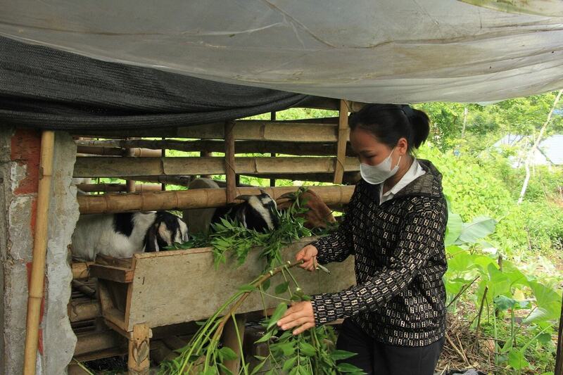 Hỗ trợ bà con sinh kế để giảm nghèo. Ảnh: Minh họa