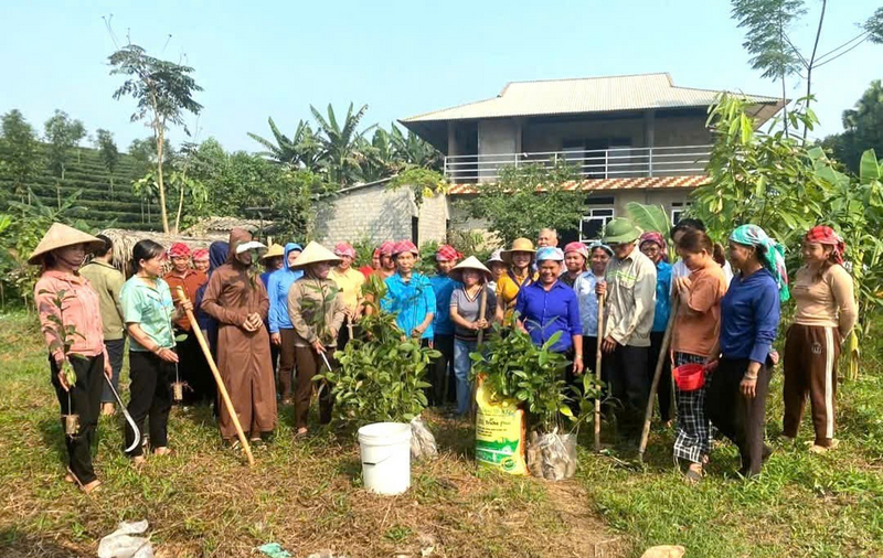 Bà con nông dân được tập huấn trồng quế hữu cơ tại hiện trường ở xã Bảo Thắng, Lào Cai. Ảnh: Hoàng Thuỷ
