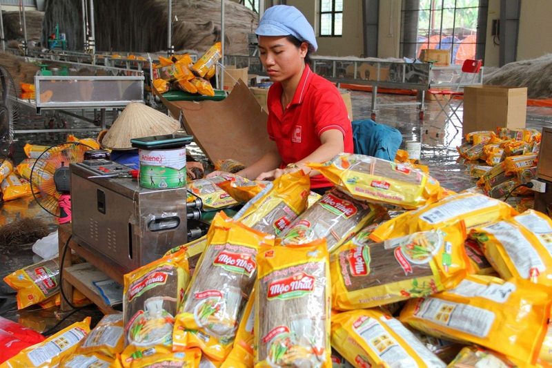 OCOP trở thành động lực phát triển của nhiều nông dân, HTX và doanh nghiệp. Ảnh: Vũ Phường