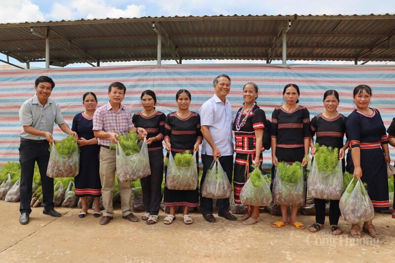 Lãnh đạo xã Tu Mơ Rông trao tặng cây giống cho người dân