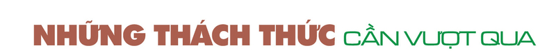 Longform | Bộ Công Thương tạo nền tảng phát triển vùng đồng bào dân tộc thiểu số: Bài 2 - 8
