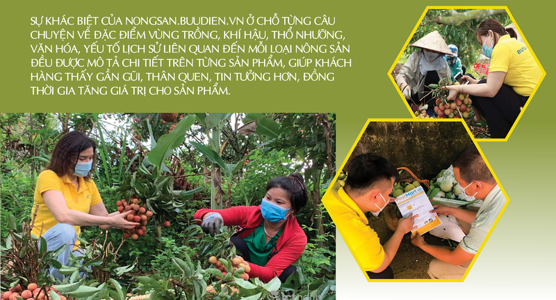 Longform | Bộ Công Thương tạo nền tảng phát triển vùng đồng bào dân tộc thiểu số: Bài 2 - 7