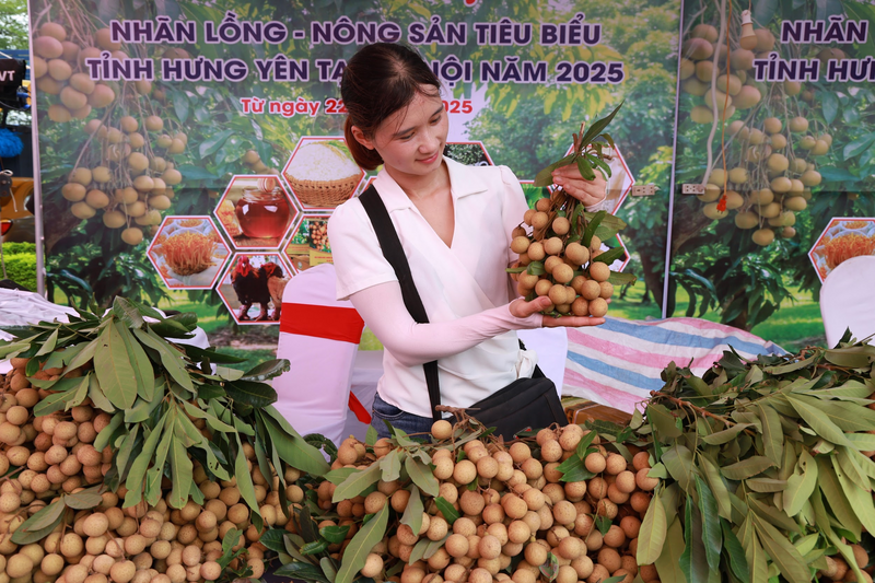 Gian hàng nhãn đạt OCOP 4 sao và tiêu chuẩn VietGAP của HTX nhãn Trịnh Tiệp