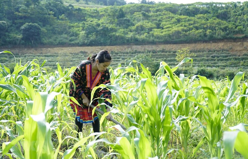 Đầu tư các dự án xây dựng cơ sở hạ tầng gắn với thích ứng với biến đổi khí hậu, phòng chống thiên tai cho vùng đồng bào dân tộc thiểu số và miền núi. Ảnh: Minh họa