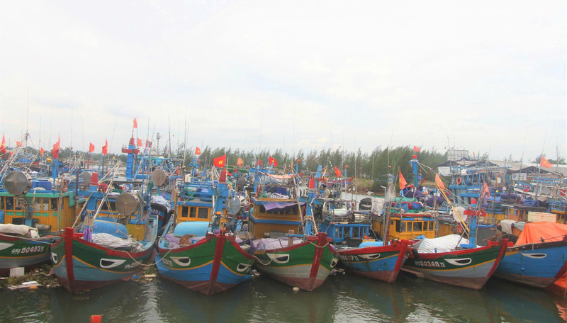 Để chủ động ứng phó với cơn bão số 5, UBND tỉnh Quảng Ngãi kêu gọi tàu thuyền vào bờ tránh trú; cấm các loại tàu thuyền ra biển hoạt động trong điều kiện gió cấp 6. Ảnh: Nguyễn Dương