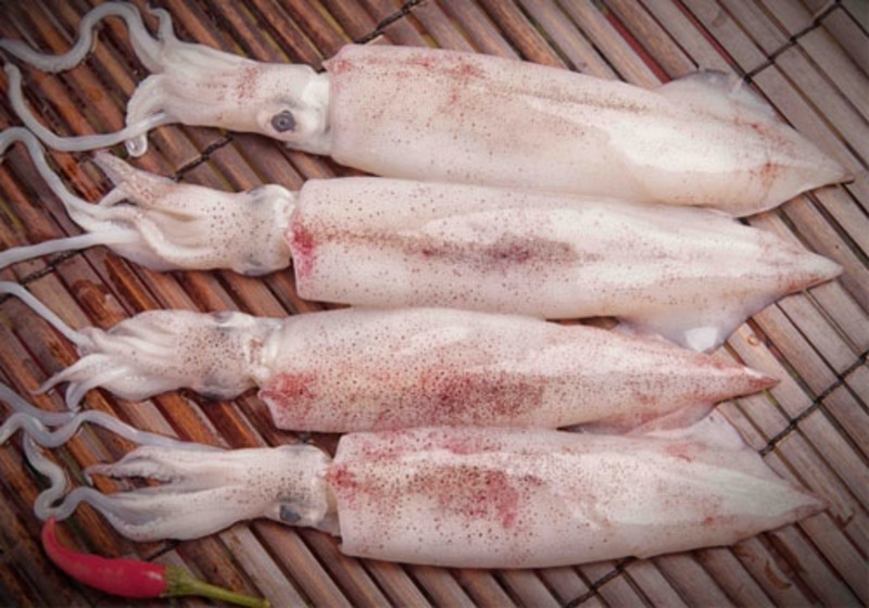 Ngư dân Quảng Bình cho biết sản lượng mực khai thác giảm, kéo giá bán nhích lên so với tháng trước. Ảnh minh hoạ