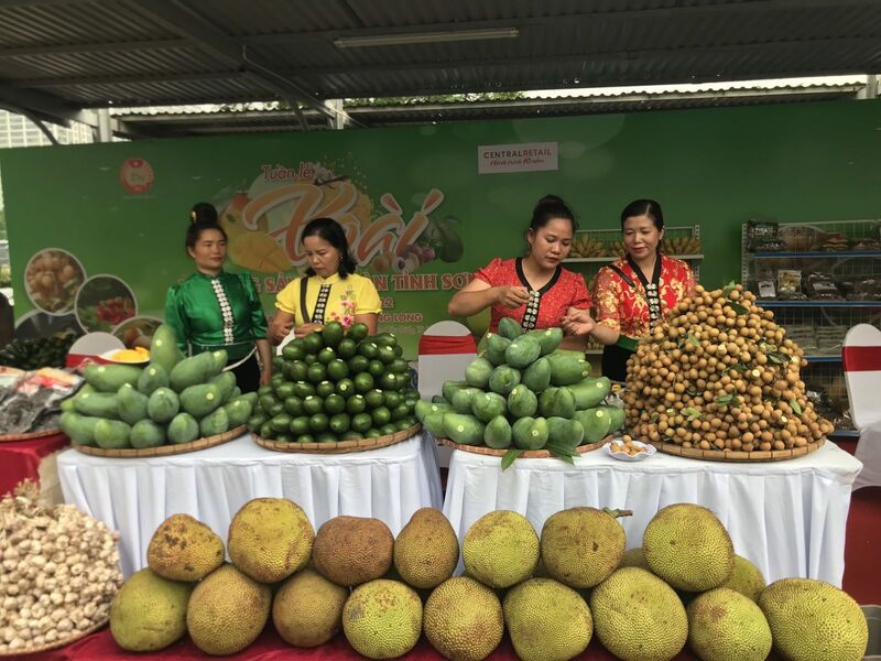 Tính đến tháng 7/2025, địa phương đã tiêu thụ được khoảng 280.000 tấn nông sản (Ảnh: Moit)