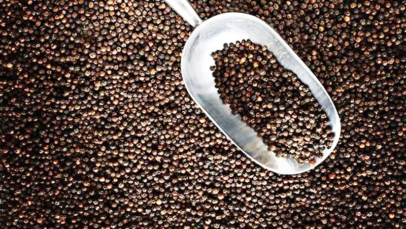 Từ đầu năm đến nay, trị giá bình quân của hạt tiêu xuất khẩu tăng tới 44,7%. Ảnh: TTXVN