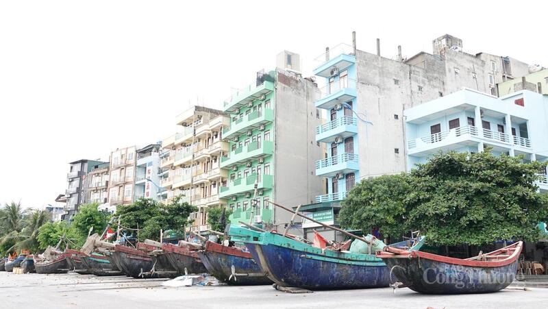 Thanh Hóa: Tàu thuyền neo đậu an toàn trước khi bão số 5 đổ bộ - 19