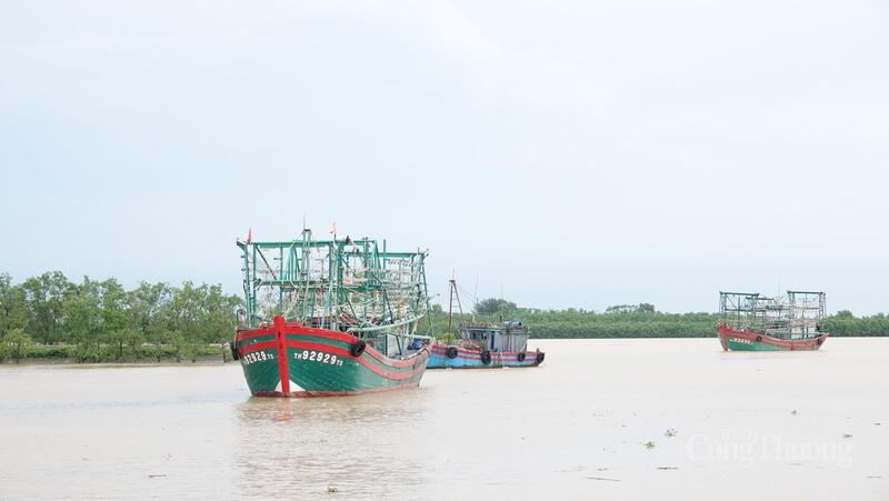 Tàu đang di chuyển về nơi neo đậu