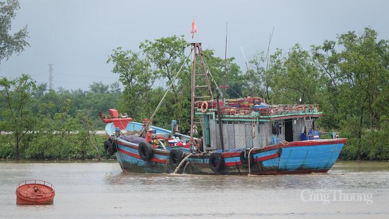 Tàu về neo đậu theo hướng dẫn của cơ quan chức năng